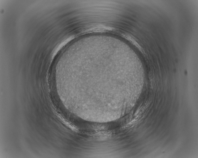 X0000067471026200605051642