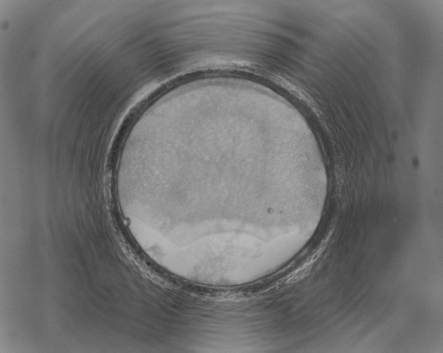 X0000067471029200605051642