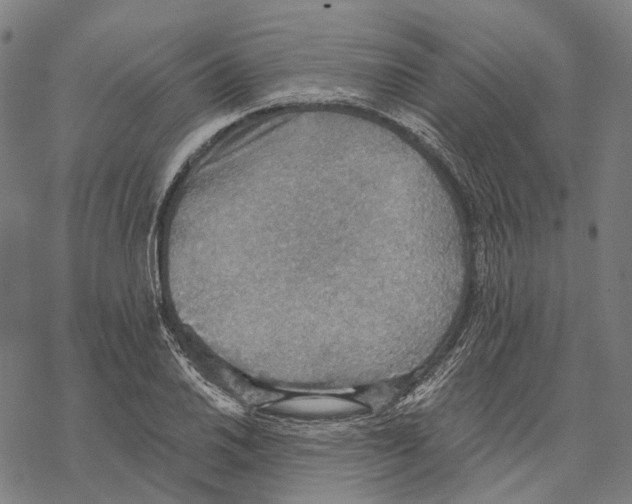 X0000067471030200605051642