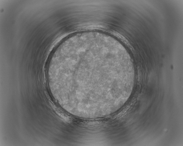 X0000067471031200605051642