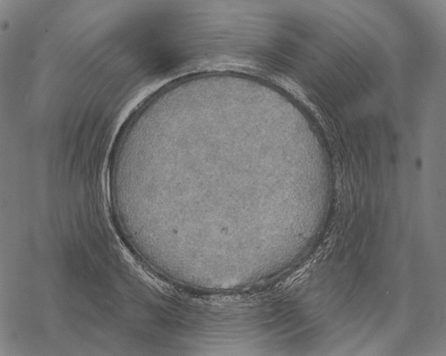 X0000067471032200605051642