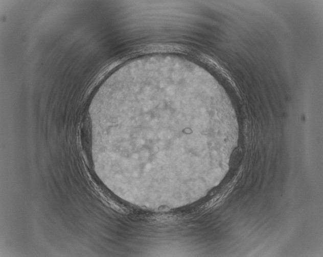 X0000067471033200605051642