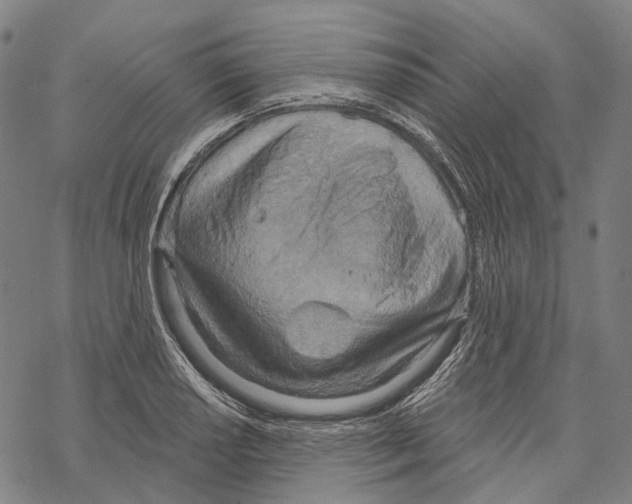 X0000067471034200605051642