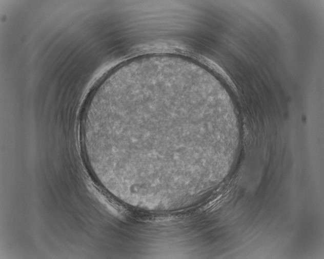 X0000067471035200605051642