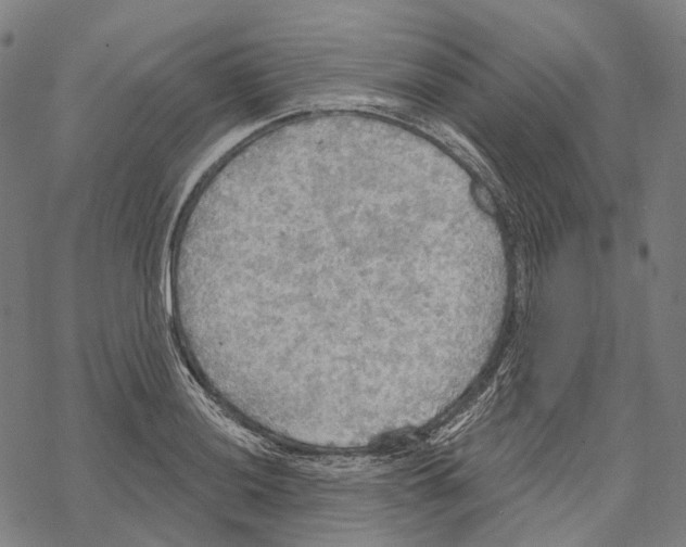 X0000067471036200605051642