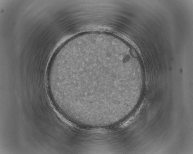 X0000067471037200605051642