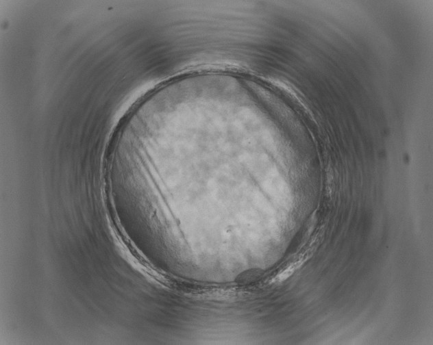 X0000067471038200605051642