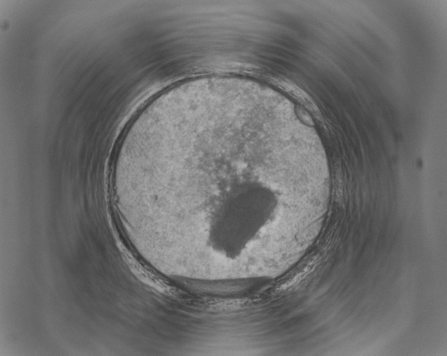 X0000067471039200605051642