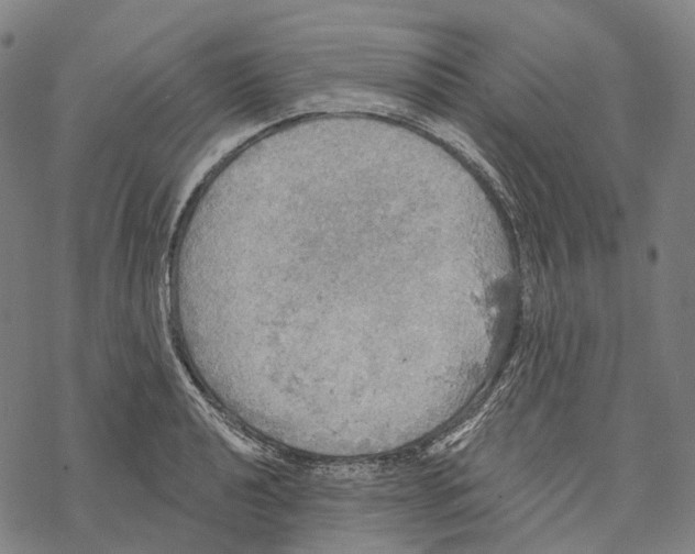 X0000067471040200605051642