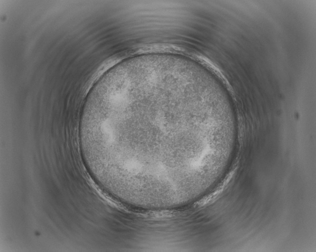 X0000067471041200605051642