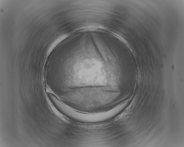 X0000067471042200605051642