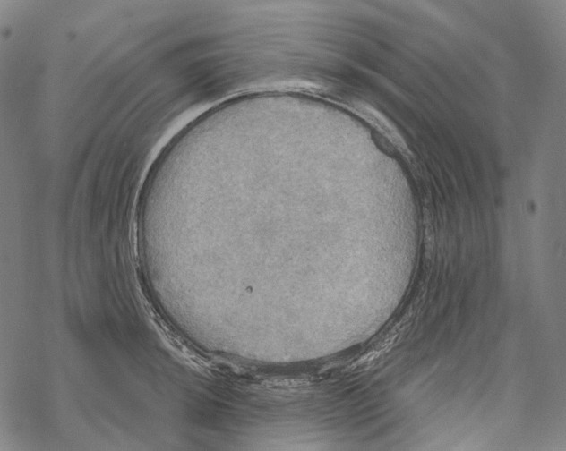 X0000067471044200605051642