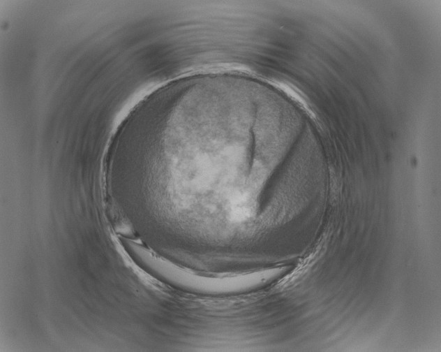 X0000067471046200605051642