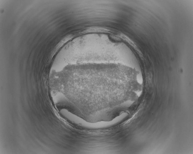 X0000067471049200605051642