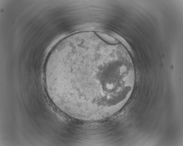 X0000067471051200605051642