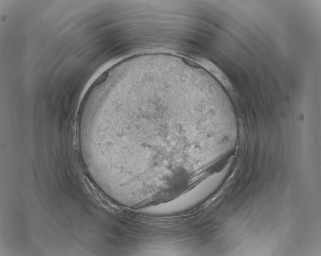 X0000067471052200605051642