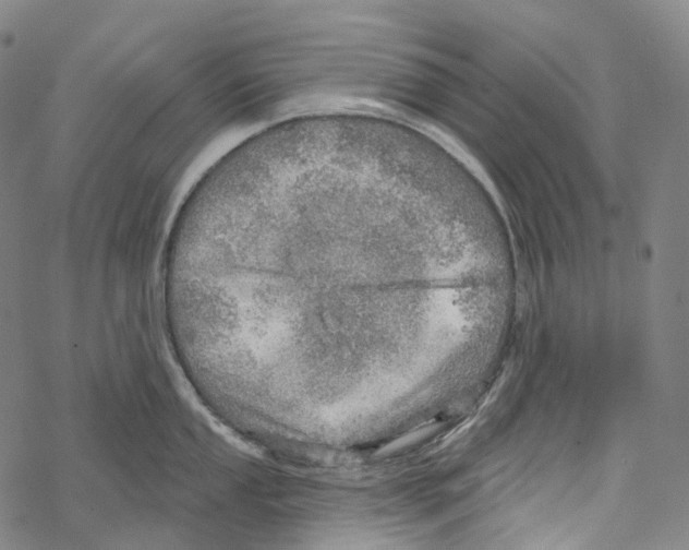 X0000067471053200605051642