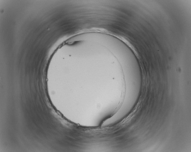 X0000067471054200605051642