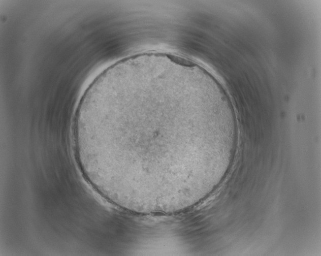 X0000067471056200605051642