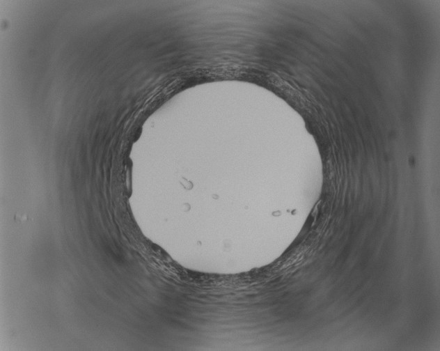 X0000067471057200605051641