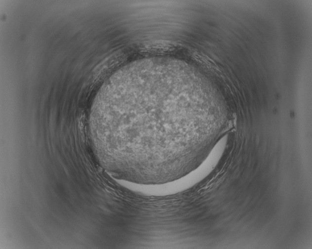 X0000067471059200605051641