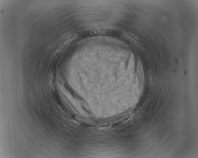 X0000067471060200605051641