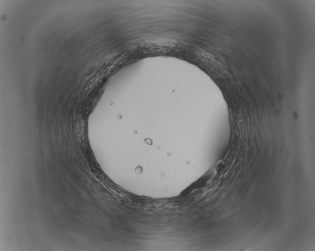 X0000067471061200605051641