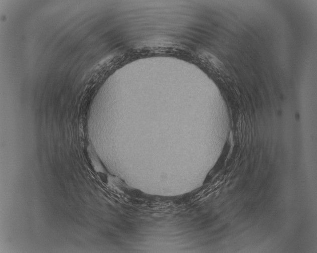 X0000067471062200605051641