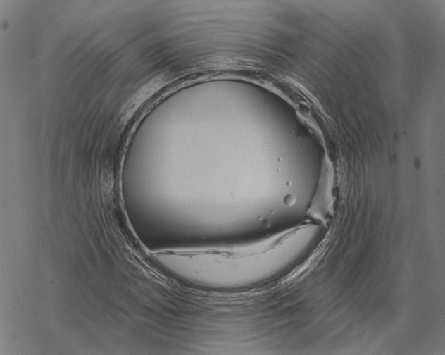 X0000067471065200605051641