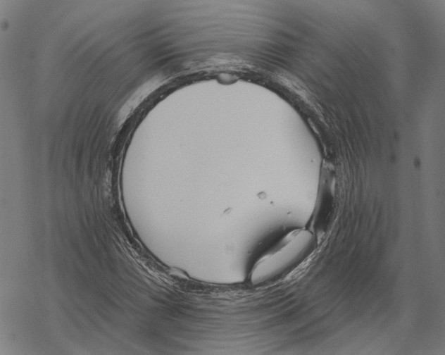 X0000067471066200605051641