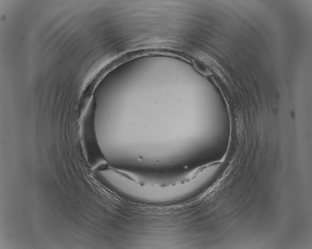 X0000067471069200605051641