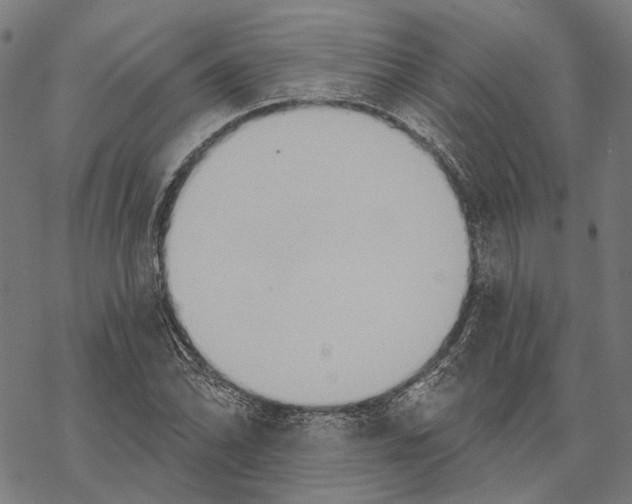 X0000067471070200605051641