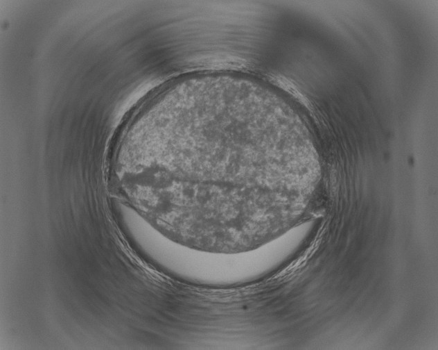 X0000067471071200605051641