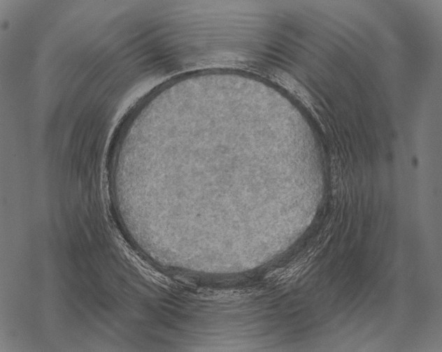 X0000067471072200605051641