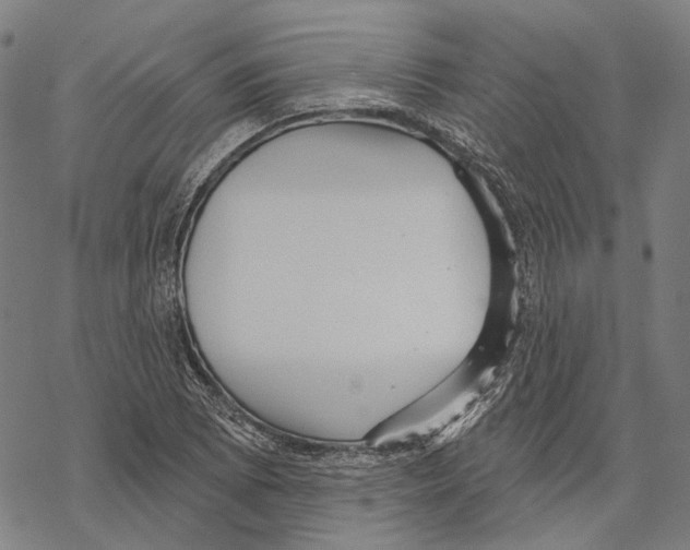 X0000067471073200605051641