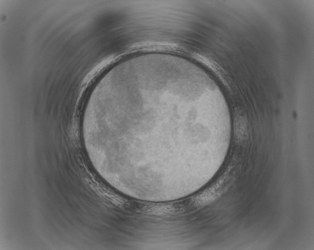 X0000067471074200605051641