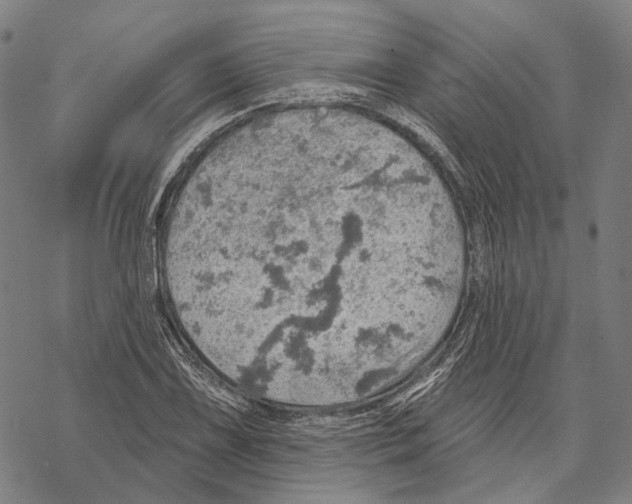 X0000067471075200605051641