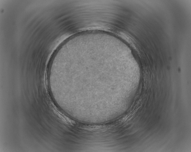 X0000067471076200605051641