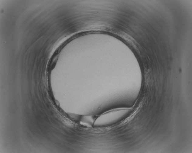 X0000067471077200605051641