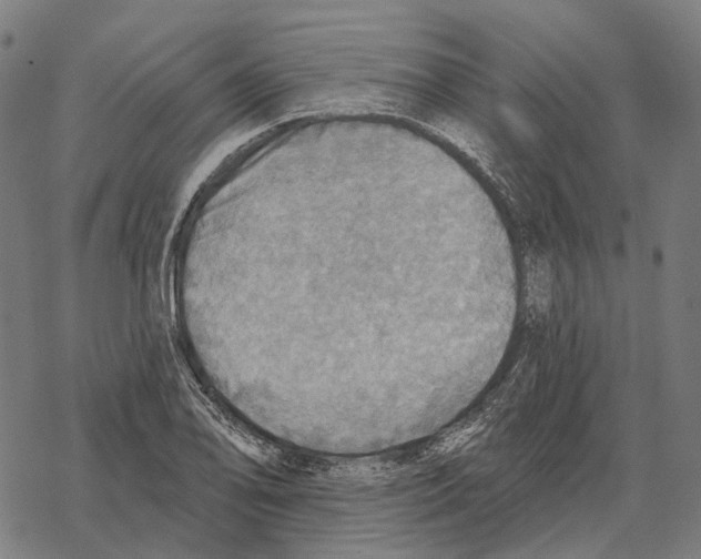 X0000067471078200605051641