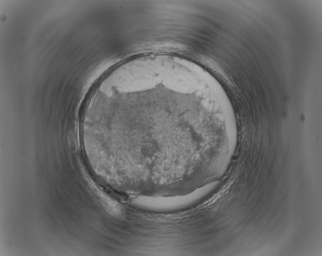 X0000067471079200605051641