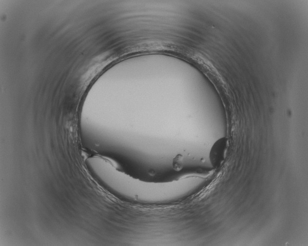 X0000067471081200605051641