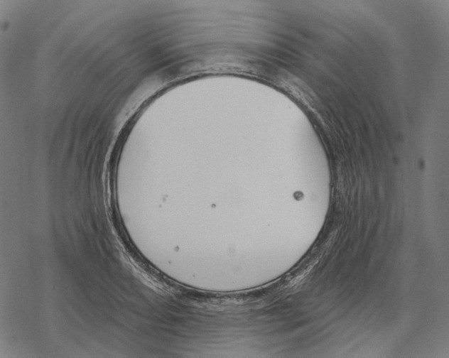 X0000067471082200605051641