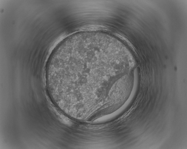 X0000067471083200605051641