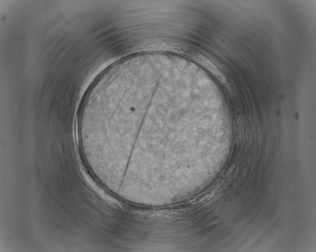 X0000067471084200605051641