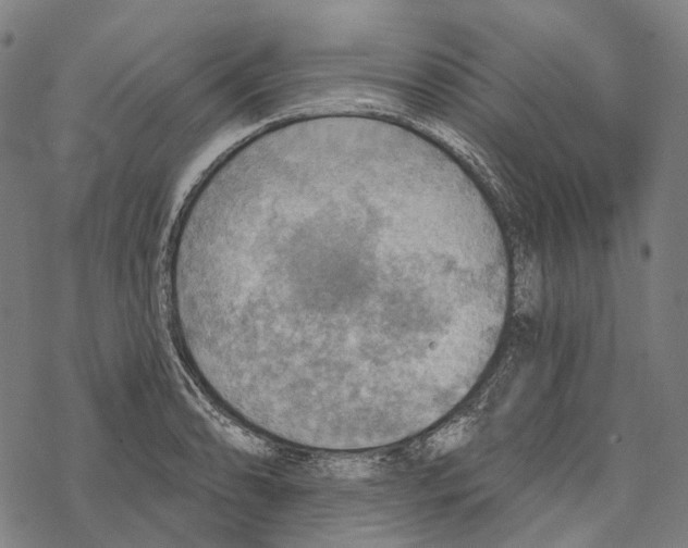 X0000067471086200605051641