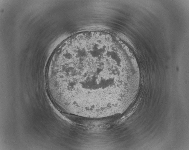 X0000067471087200605051641