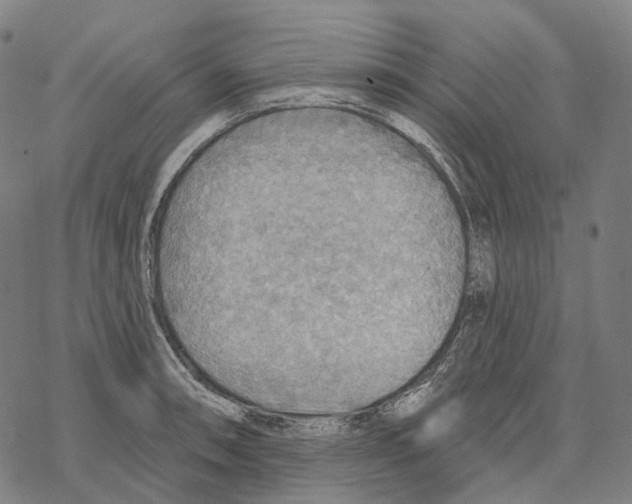 X0000067471090200605051641