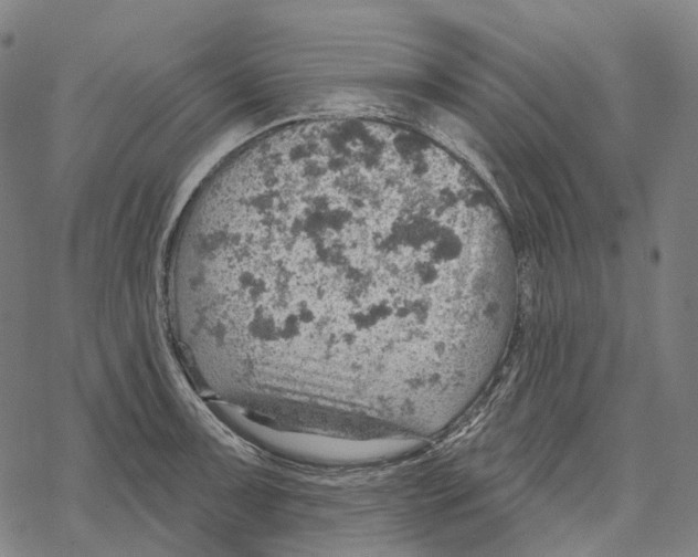 X0000067471091200605051641