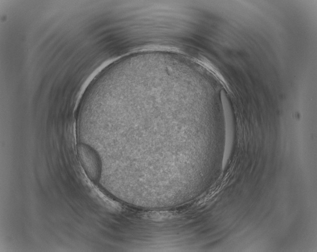 X0000067471092200605051641